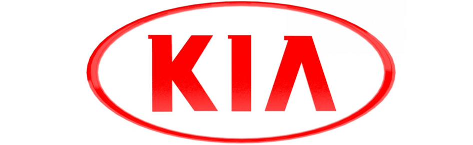 bolsas poly mailers en ciudad de mexico