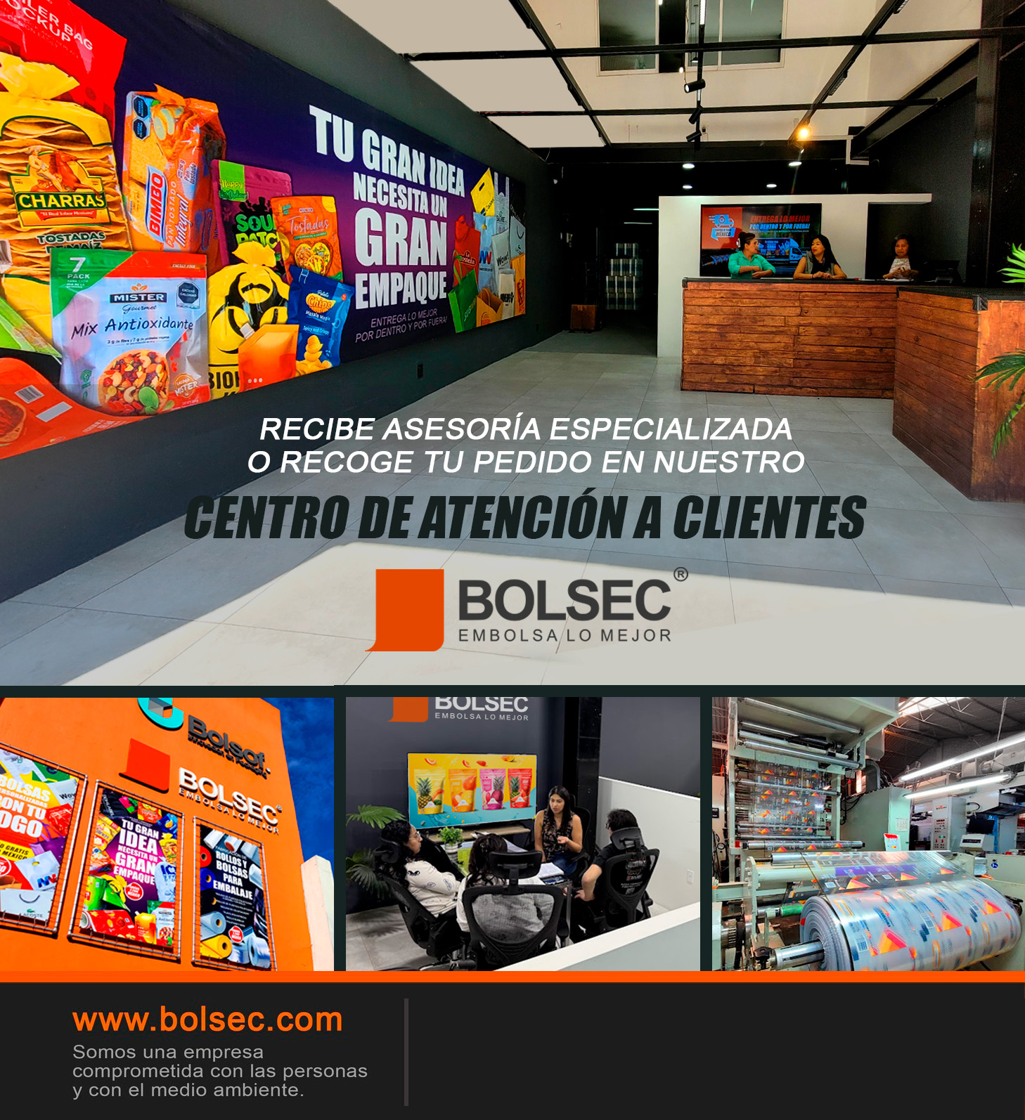 bolsas para ecommerce